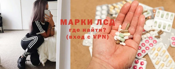 PSILOCYBIN Гусиноозёрск