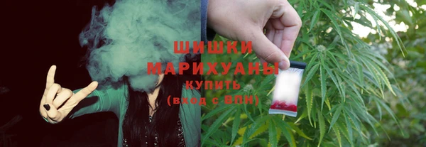 PSILOCYBIN Гусиноозёрск