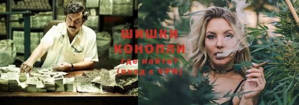 PSILOCYBIN Гусиноозёрск